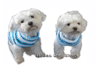 bitte darauf klicken